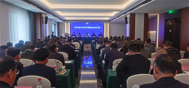 微信图片_20230417163928 - 副本.jpg