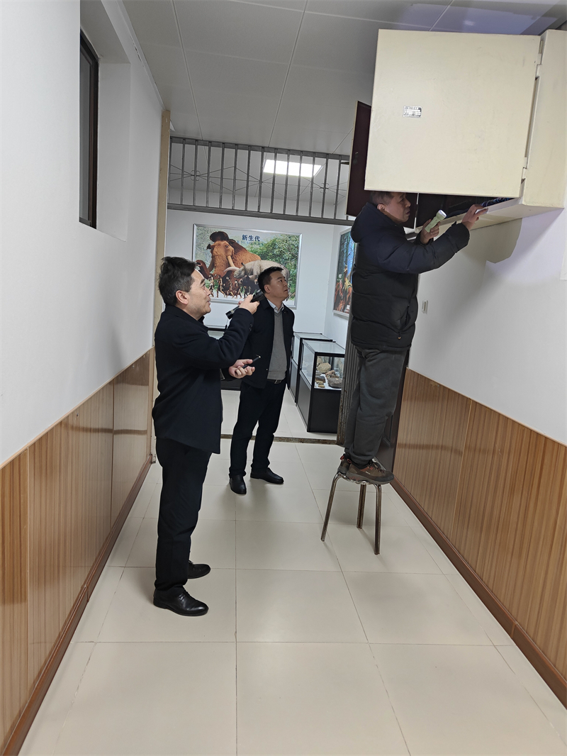 1765177267195149.jpg 2.jpg