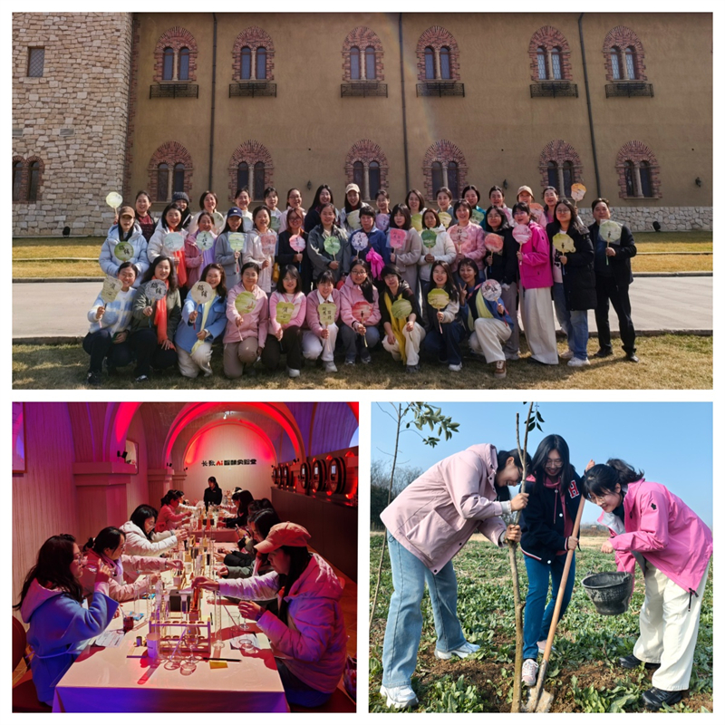 1773399045504246.jpg 2.jpg